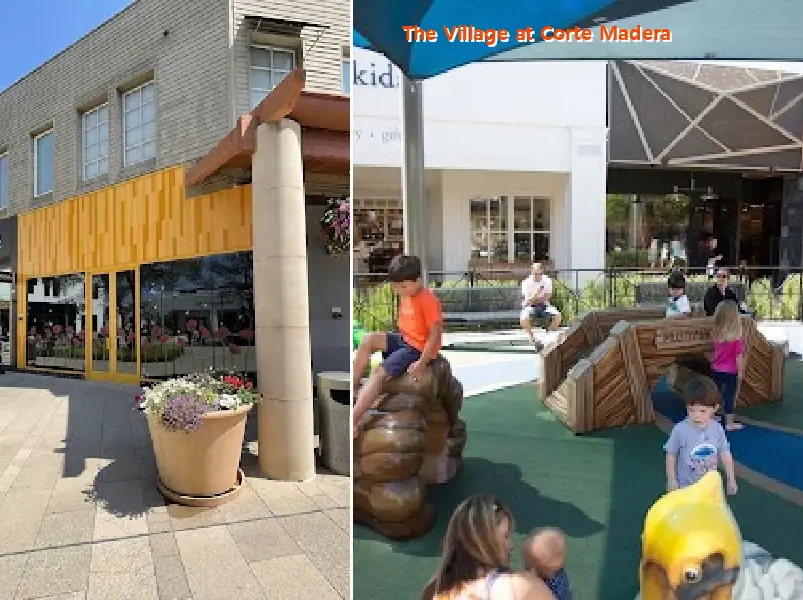 the village at corte madera