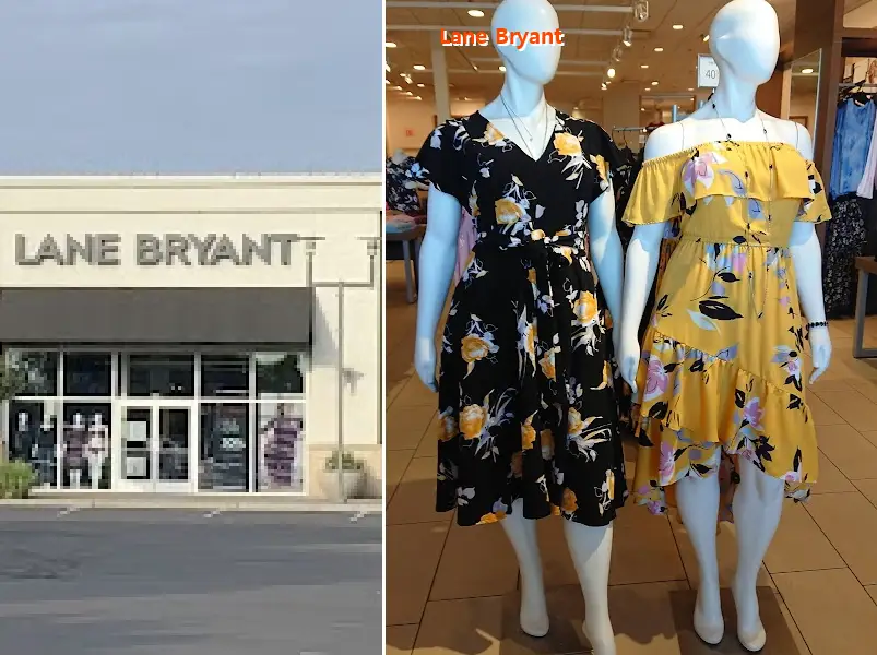 lane bryant 95207