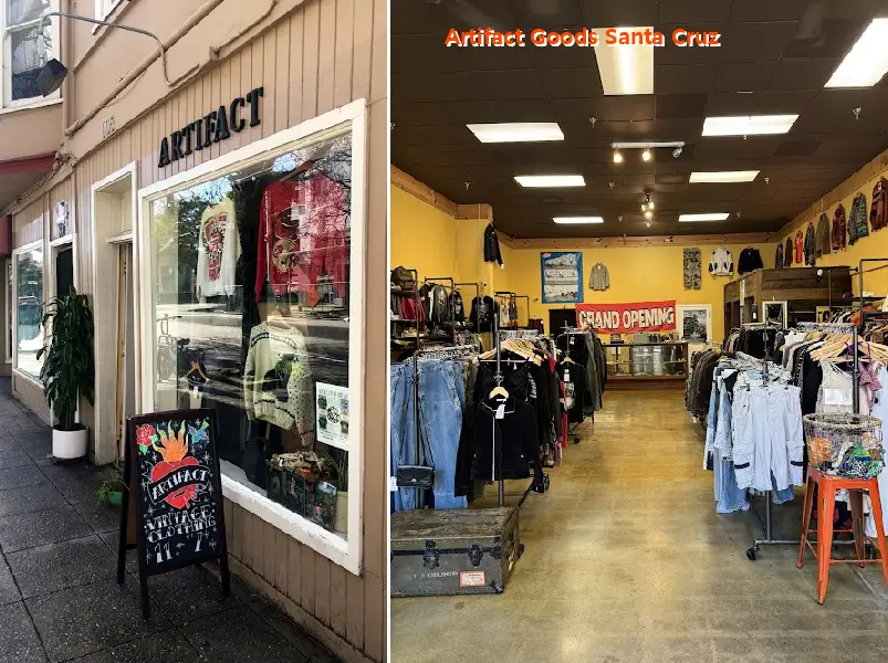 artifact goods santa cruz