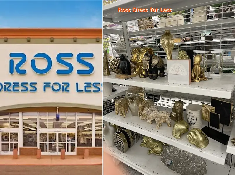 ross dress for less 93003