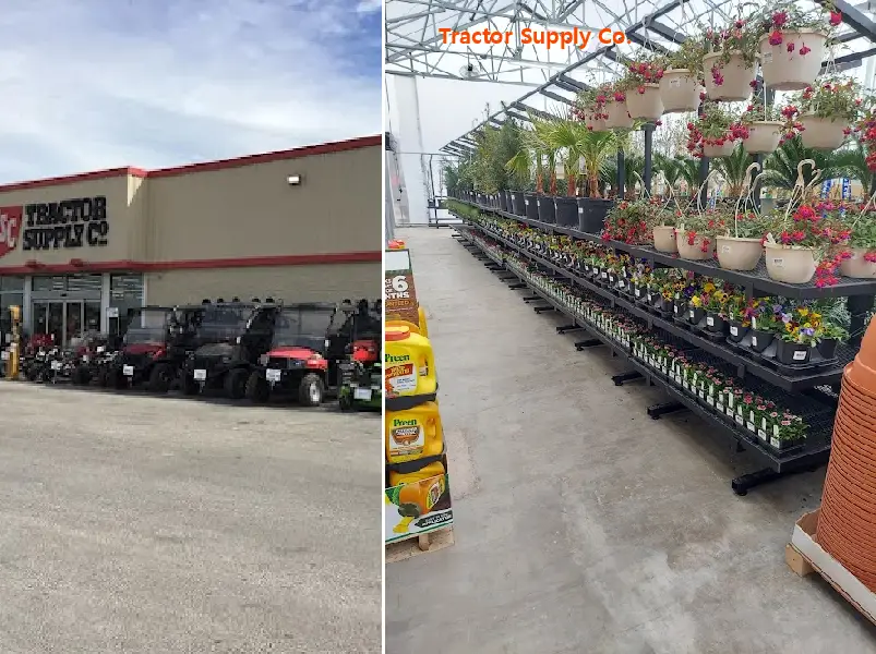 tractor supply co