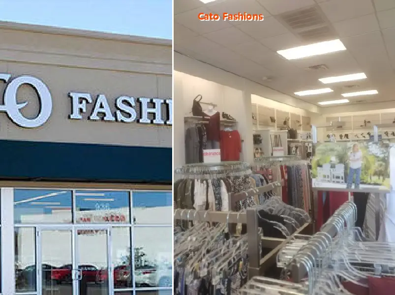 cato fashions 77581