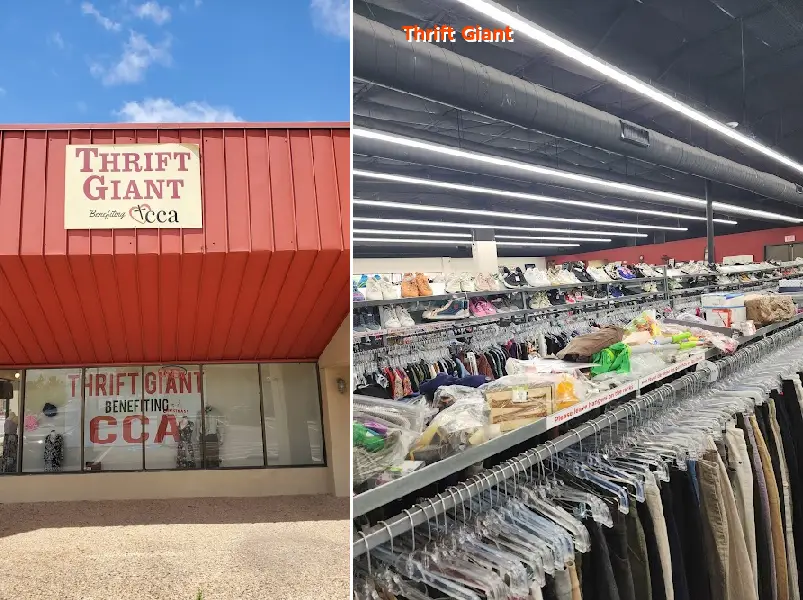 thrift giant