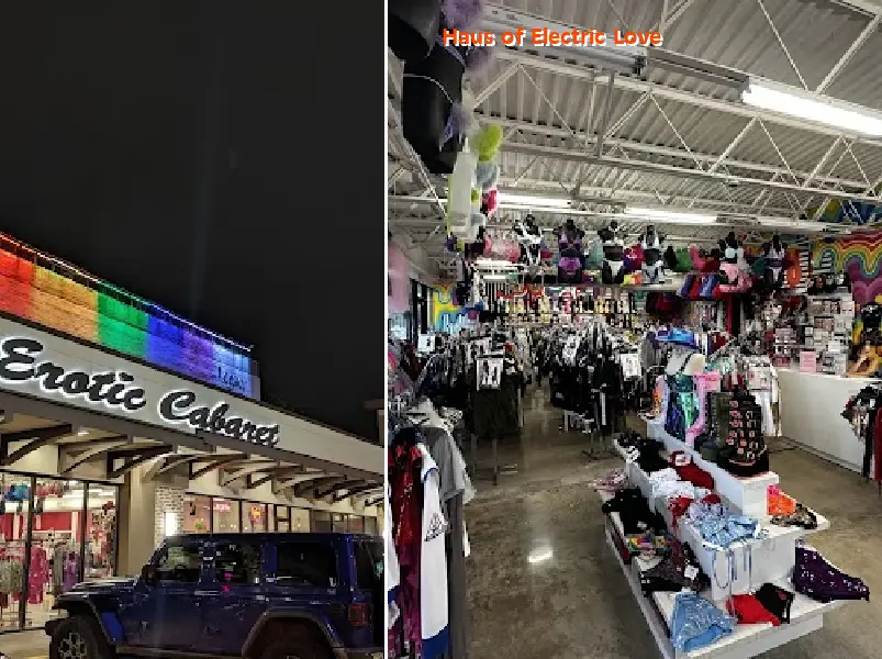 haus of electric love