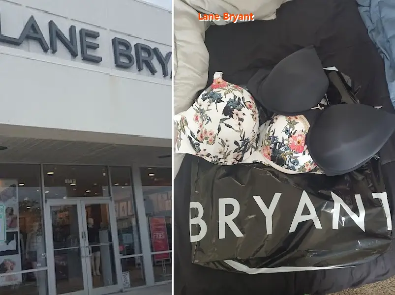 lane bryant 77521