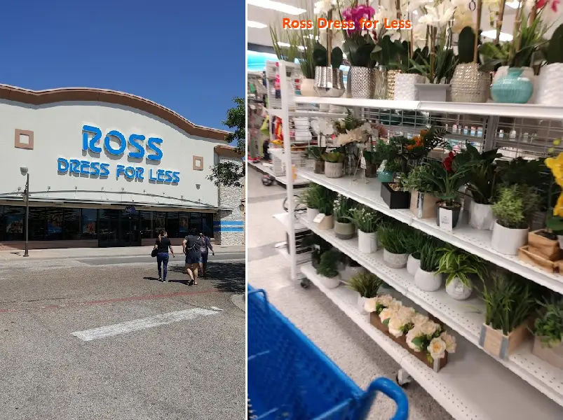 ross dress for less 76711