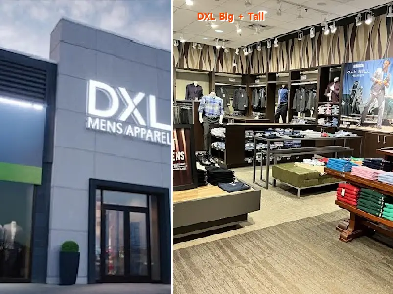 dxl big   tall 78411