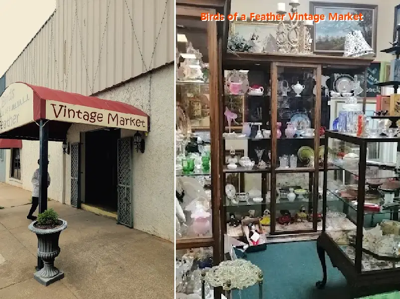 birds of a feather vintage market