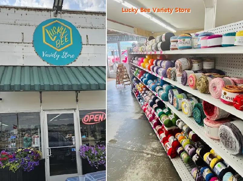 lucky bee variety store