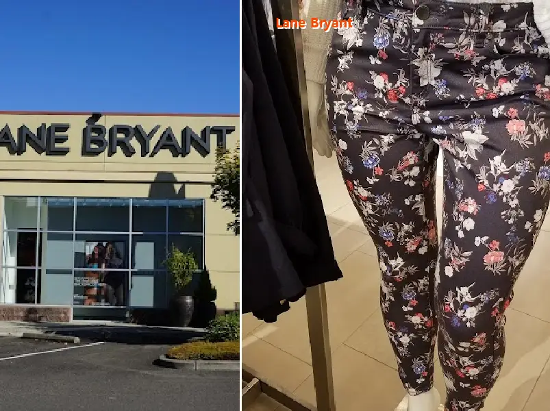 lane bryant 98502