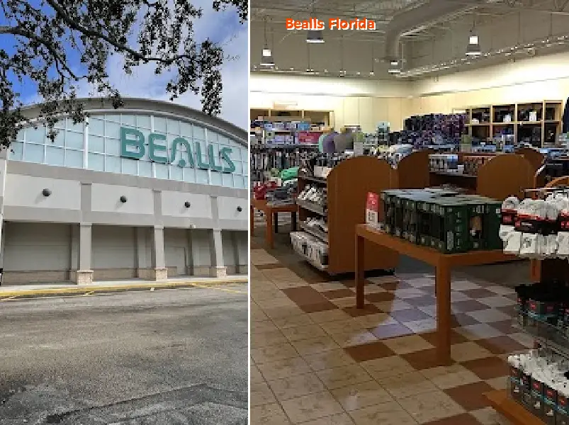 bealls florida 34112