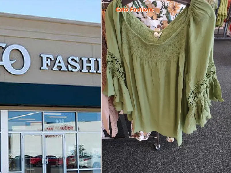 cato fashions 32218