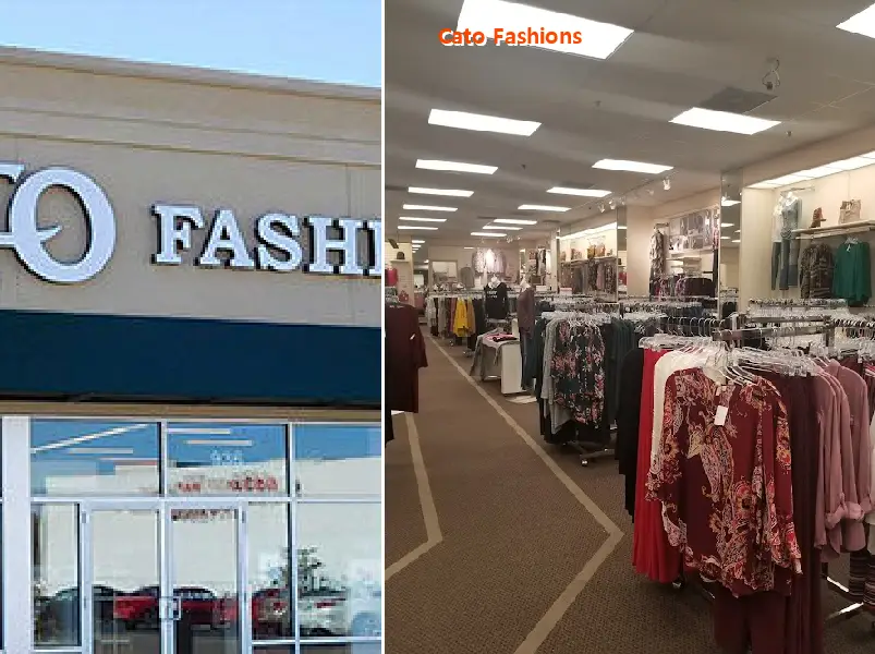 cato fashions 32225
