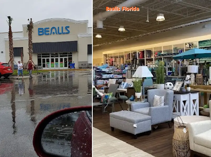 bealls florida 32137