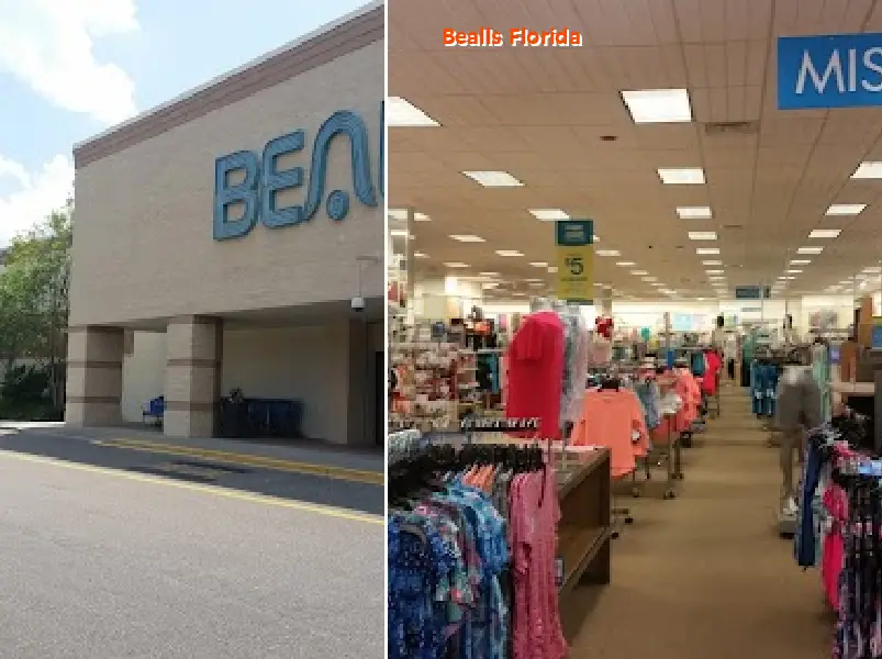 bealls florida 32308
