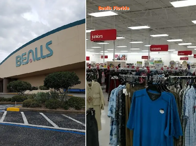 bealls florida 34209