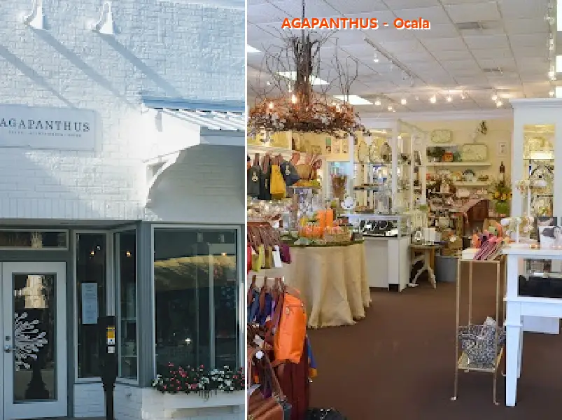 agapanthus   ocala