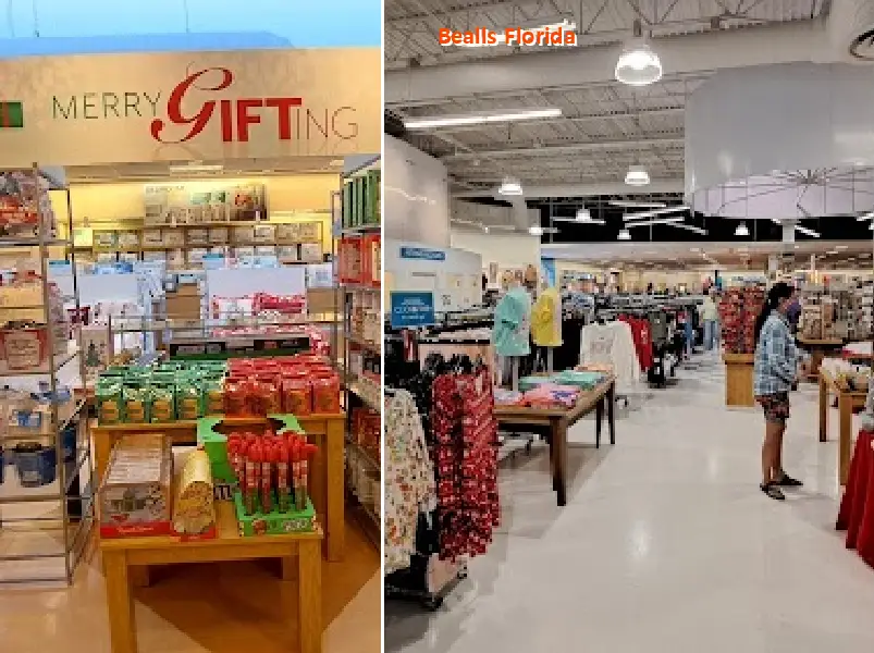 bealls florida 34481