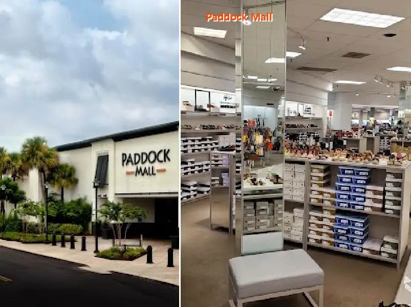 paddock mall