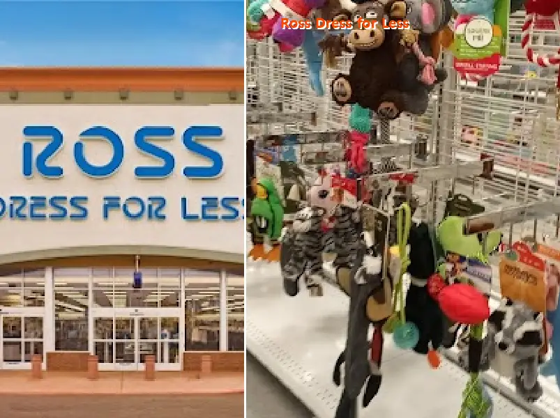 ross dress for less 34741