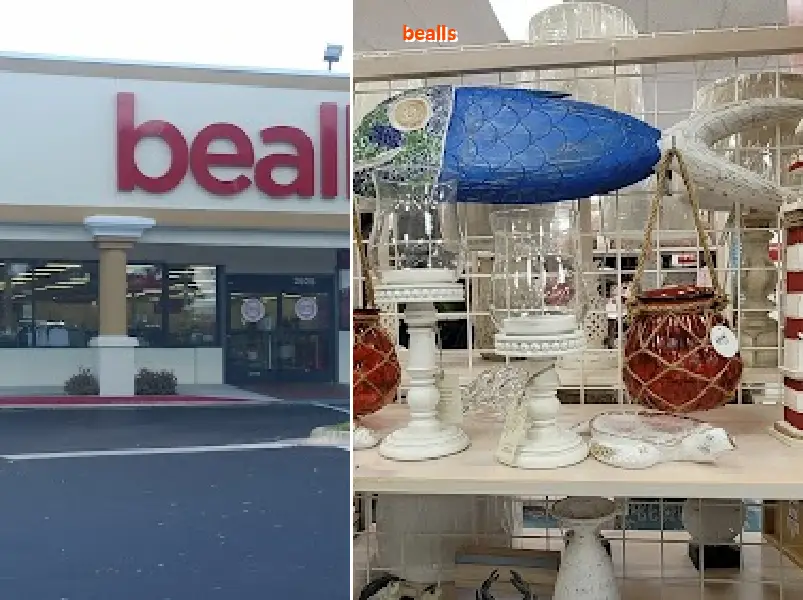 bealls 33409