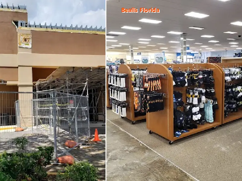 bealls florida 33436