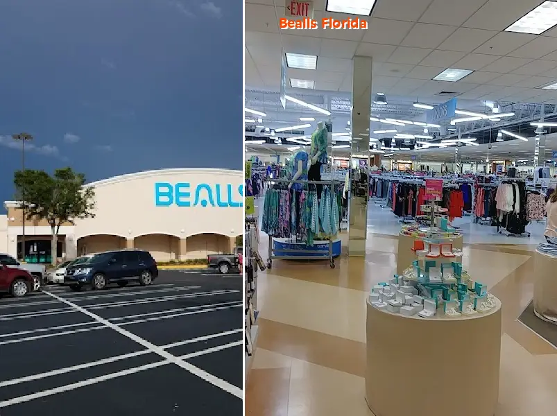 bealls florida 33809