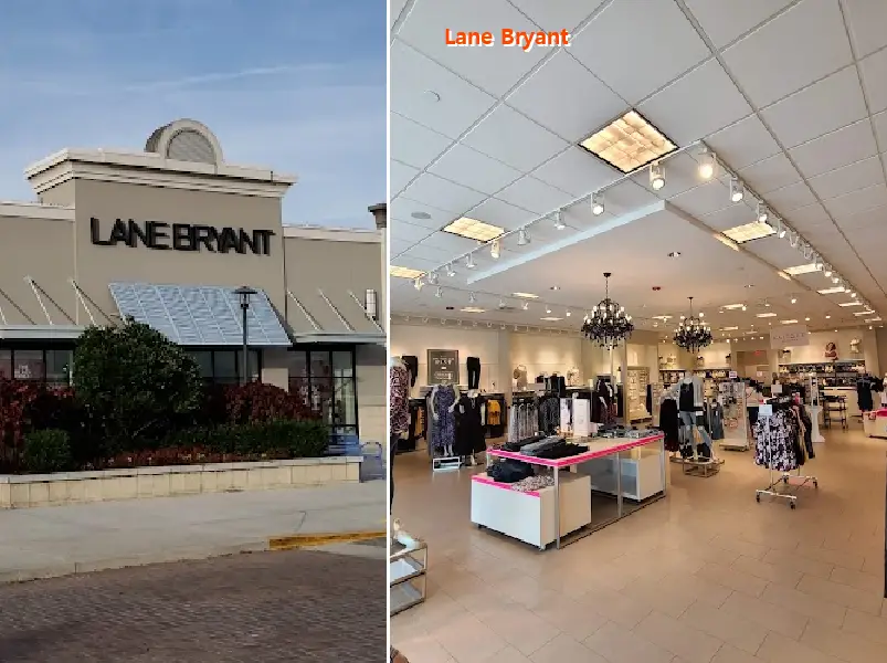 lane bryant 33809