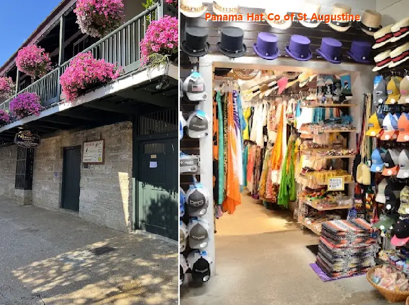 panama hat co of st augustine