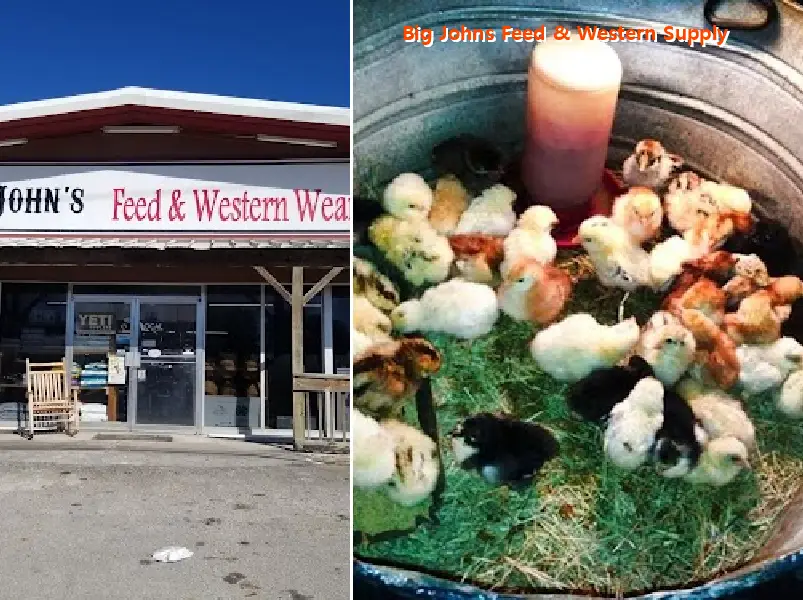 big johns feed & western supply