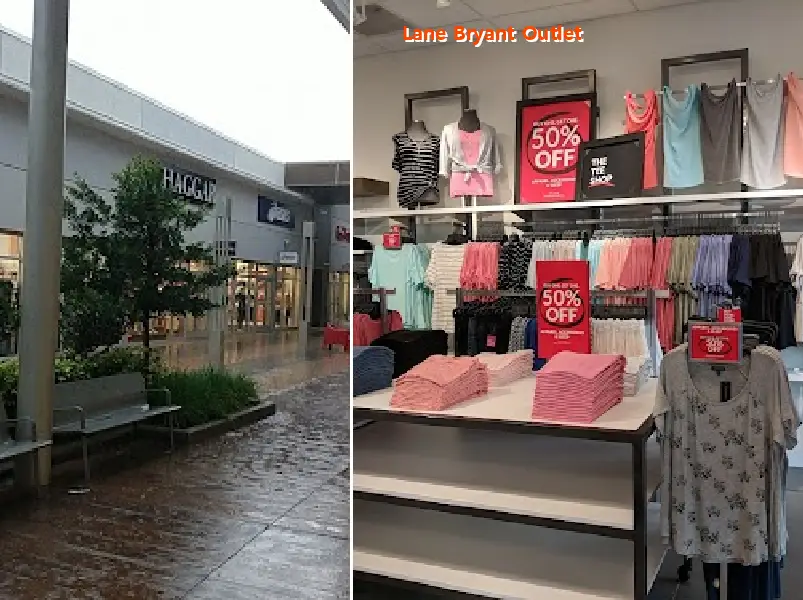 lane bryant outlet