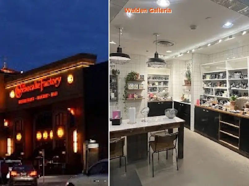 walden galleria