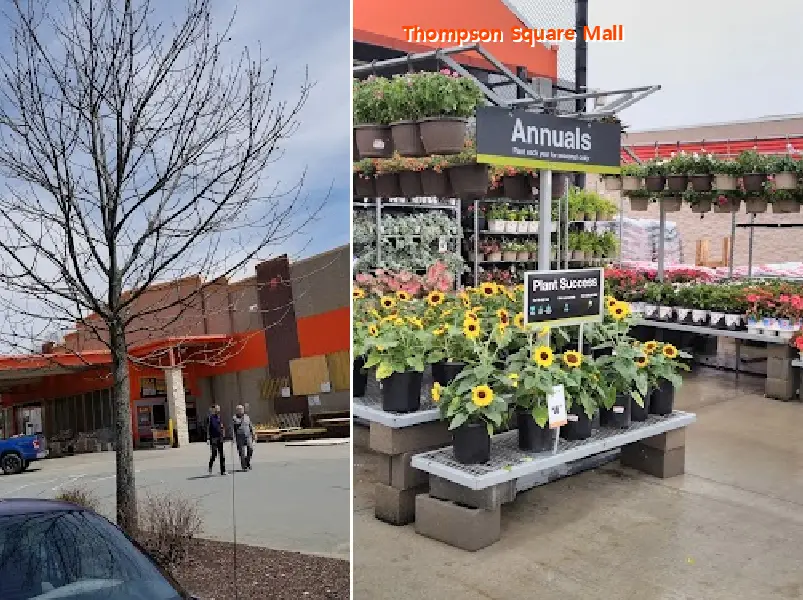 thompson square mall