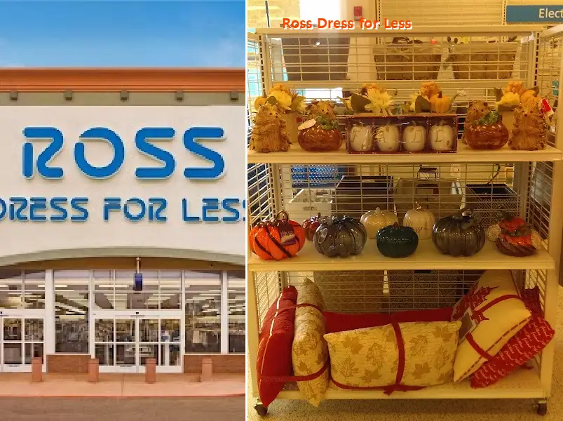 ross dress for less 31206