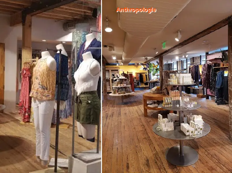 anthropologie