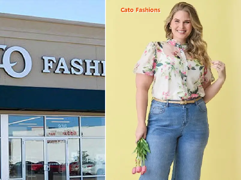 cato fashions 31906