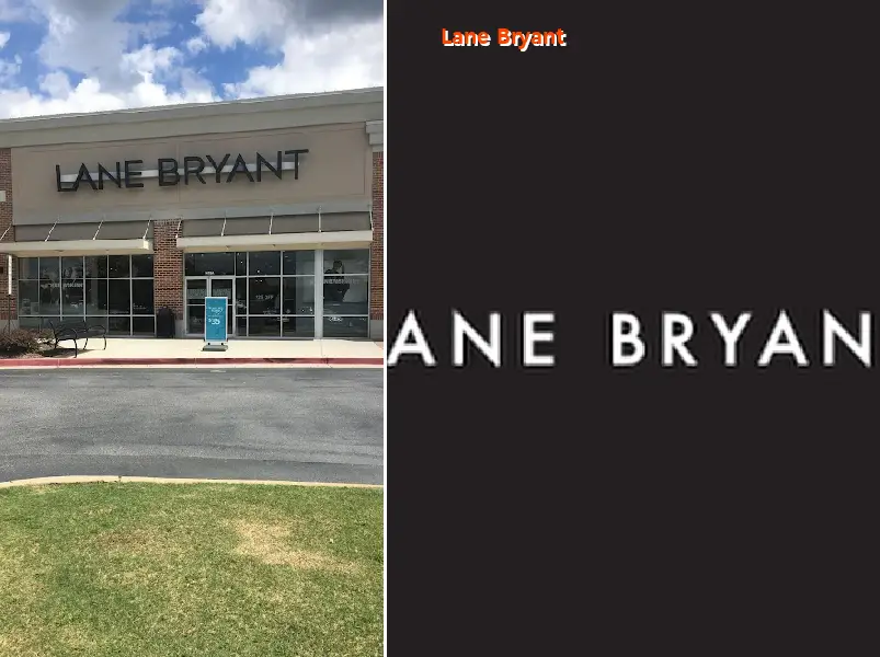 lane bryant 30013