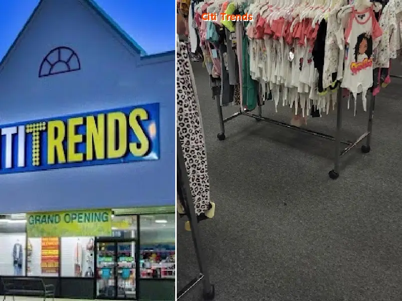 citi trends 31709