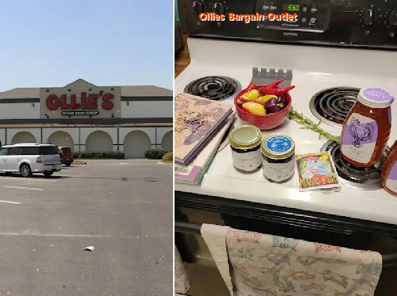 ollies bargain outlet 31792