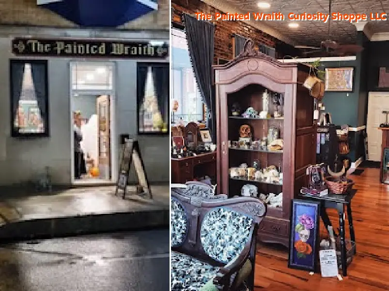 the painted wraith curiosity shoppe llc