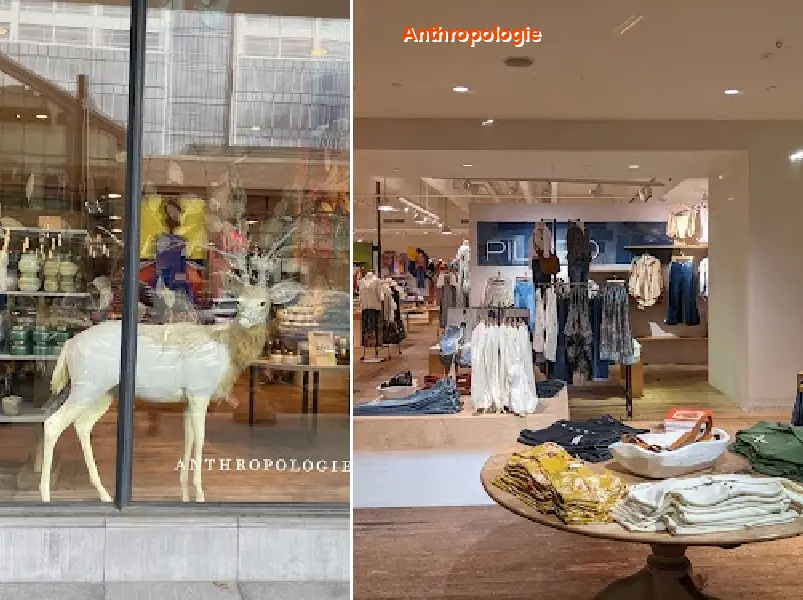 anthropologie