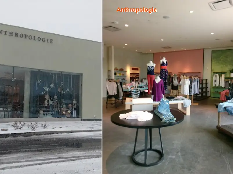 anthropologie