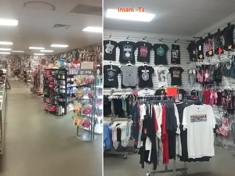 insani  ts