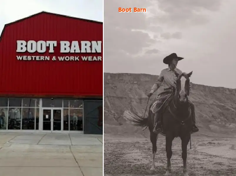 boot barn 95501