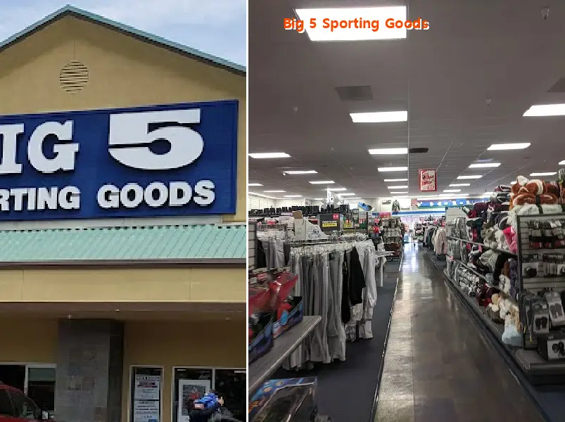 big 5 sporting goods 95023