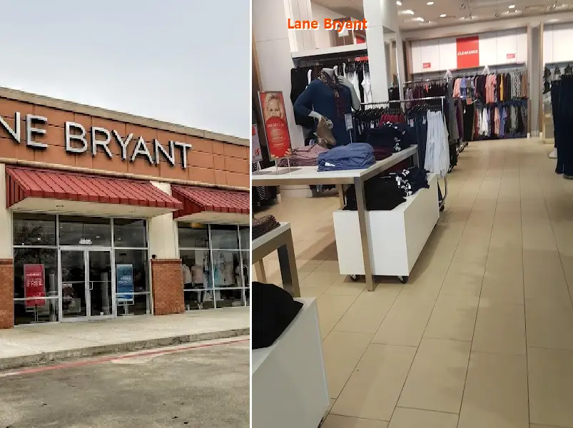 lane bryant 77706