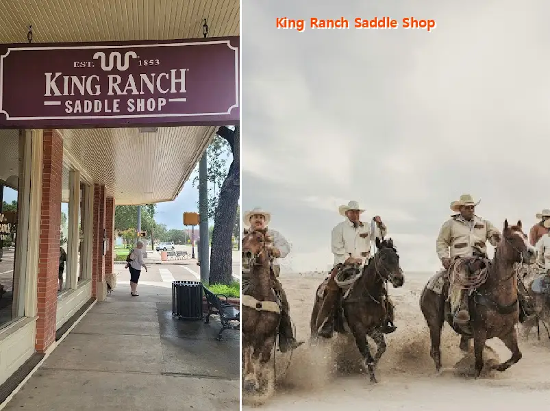 king ranch saddle shop