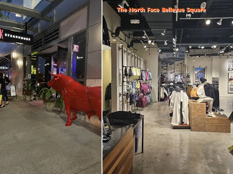 the north face bellevue square