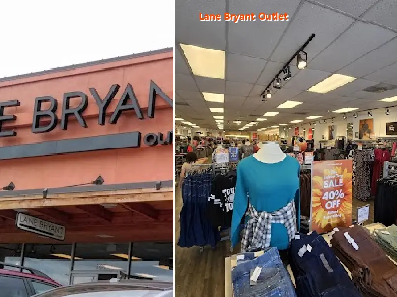 lane bryant outlet