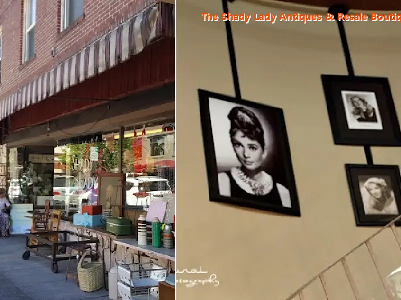 the shady lady antiques & resale boutique